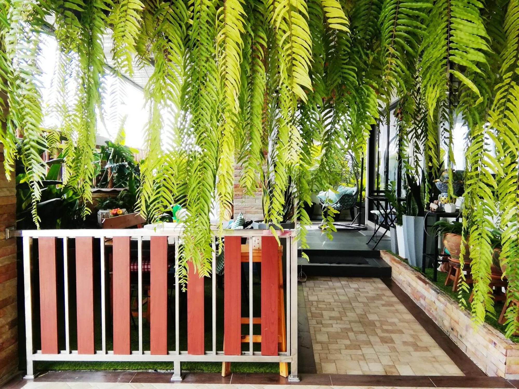 Wilderness Bed & Breakfast Ban Chang  Bilik gambar